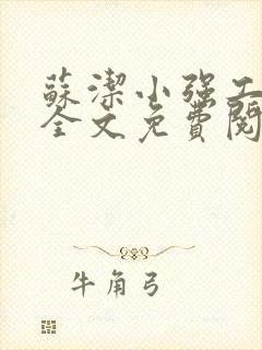 苏洁小强工地情全文免费阅读