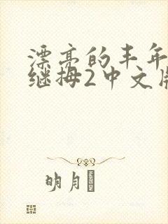 漂亮的丰年经的继拇2中文版