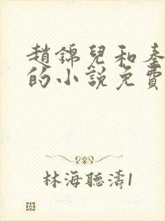 赵锦儿和秦慕修的小说免费阅读全文