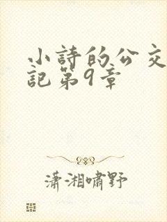 小诗的公交车日记第9章