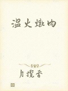 温火炖肉