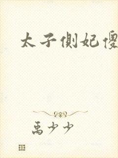 太子侧妃傻乎乎