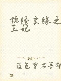 锦绣良缘之北地王妃