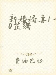 新婚娇妻1一40芷珊