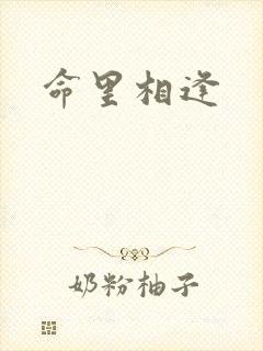 命里相逢