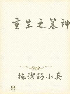 重生之篡神