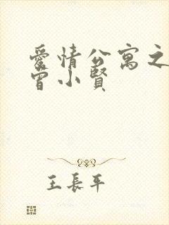 爱情公寓之极品曾小贤