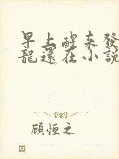 早上醒来发现巨龙还在小说