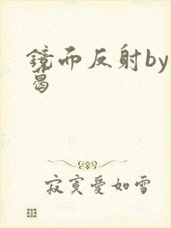 镜面反射by九葛