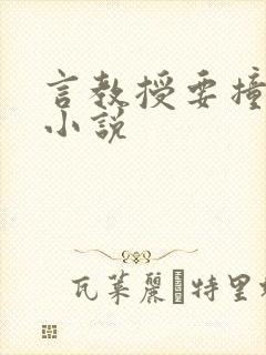 言教授要撞坏了小说