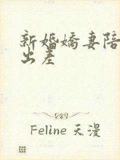 新婚娇妻陪局长出差