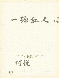 一号红人 小说
