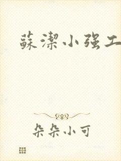 苏洁小强工地情