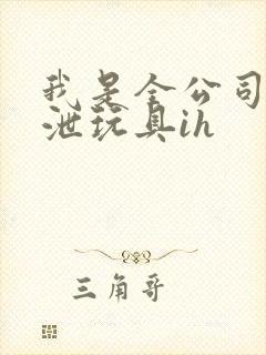 我是全公司的发泄玩具ih