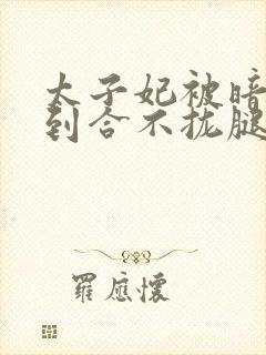 太子妃被暗卫C到合不拢腿