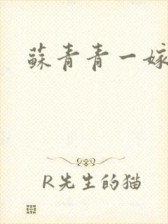 苏青青一嫁三夫