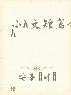 小h文短篇合集h