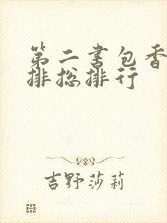 第二书包香辣肉排总排行