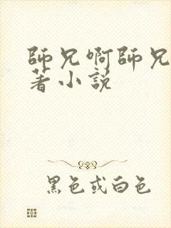 师兄啊师兄的原著小说