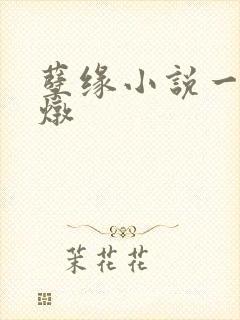 孽缘小说一家乱炖