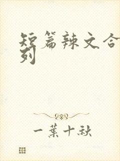 短篇辣文合集系列