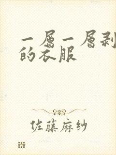 一层一层剥掉你的衣服