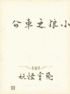 公车之狼小说
