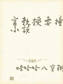 言教授要撞坏了小说