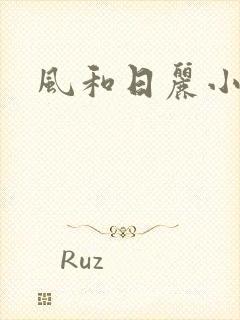 风和日丽小说