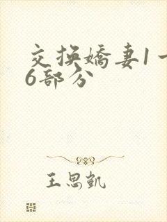 交换娇妻1一36部分