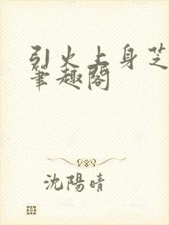 引火上身芝麻糖笔趣阁