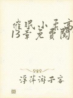 催眠小柔高达第13章免费阅读