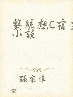 系统想C宿主的小说