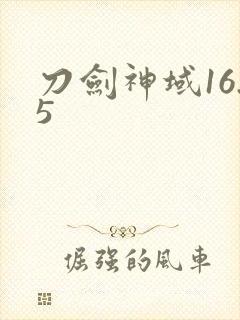 刀剑神域16.5