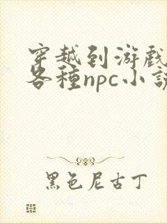 穿越到游戏里和各种npc小说