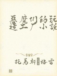 恶魔们的玩具改造工厂小说