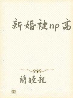 新婚被np高h