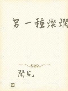 另一种灿烂生活