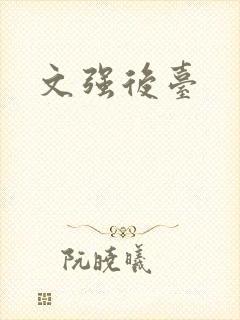 文强后台