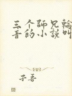 三个师兄轮流上音的小说叫什么