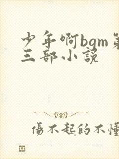 少年啊bgm第三部小说