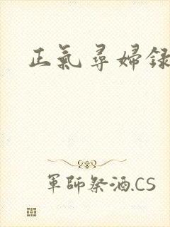 正气寻妇录
