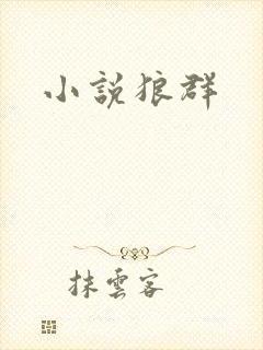 小说狼群