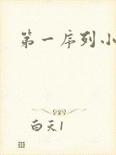 第一序列小说