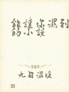 能让你湿到不行的小说