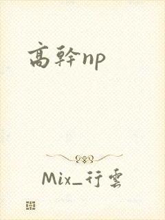 高干np
