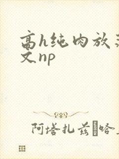 高h纯肉放荡h文np