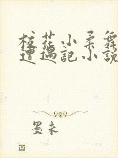 校花小柔舞蹈室遭遇记小说