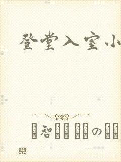 登堂入室小说