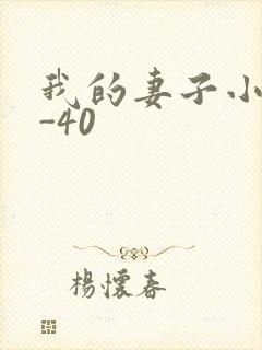 我的妻子小谨1-40